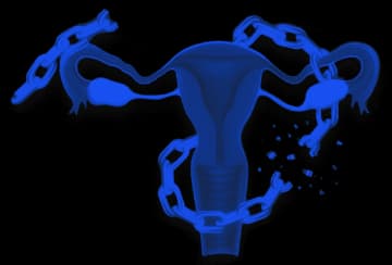 Uterus